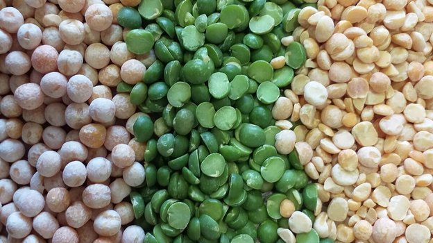 Виды гороха. Фото Яндекс.Дзен Виды гороха. Фото Яндекс.Дзен