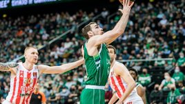 Сербских баскетболистов и французских биатлонистов травят за поддержку России. Что происходит?