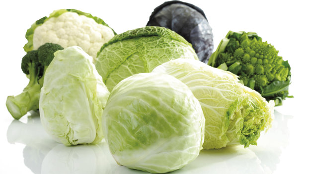 Виды капусты. Фото Global Look Press Виды капусты. Фото Global Look Press