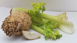 Сельдерей: польза и вред. Как выбрать и хранить?