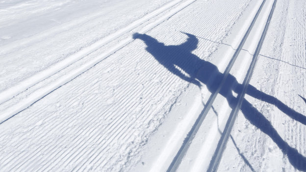 Лыжные гонки. Фото Global Look Press Лыжные гонки. Фото Global Look Press