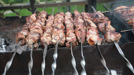 Что важно знать перед походом на шашлыки