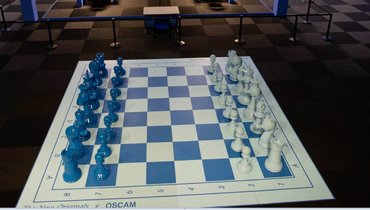 Первенства России по шахматам в Лоо остановлены из-за смерти участницы.