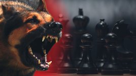 «Овчарка нанесла ей травмы, несовместимые с жизнью». Первенство России прервали из-за страшной смерти 12-летней шахматистки