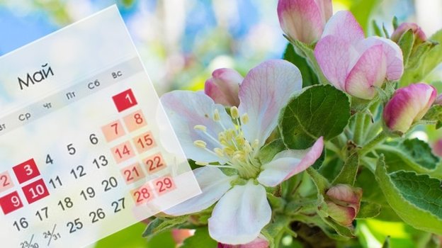 Специалисты не советуют брать отпуск на майские праздники. Фото ng72.ru Специалисты не советуют брать отпуск на майские праздники. Фото ng72.ru