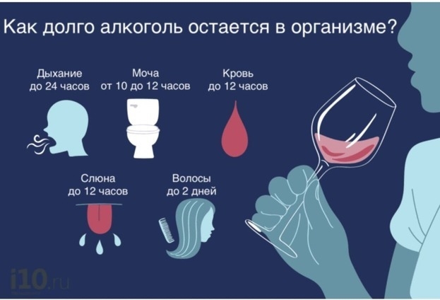 Как долго алкоголь остается в организме? Фото i10.ru Как долго алкоголь остается в организме? Фото i10.ru