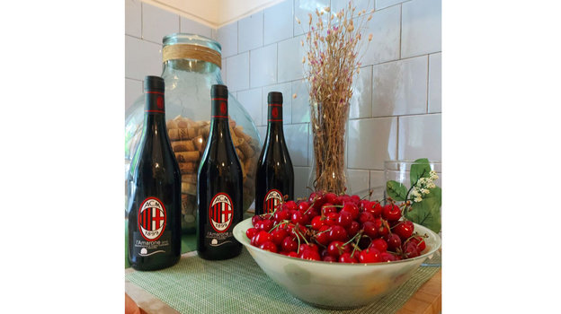 «Милан» — чемпион Италии. «Милан» — чемпион Италии.