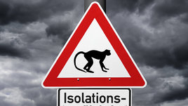 Вся правда об оспе обезьян