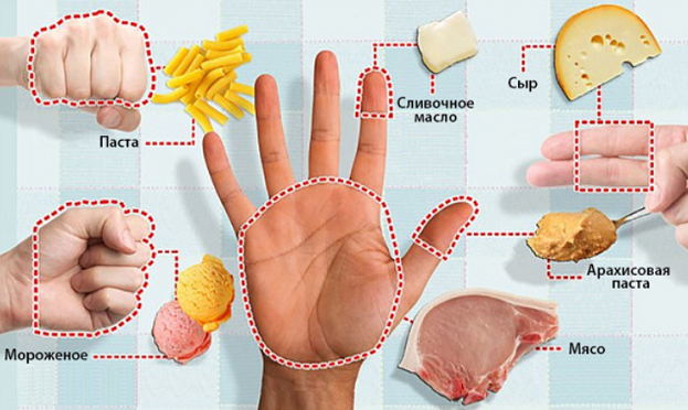 Рацион питания. Фото gdp3podolsk.ru Рацион питания. Фото gdp3podolsk.ru