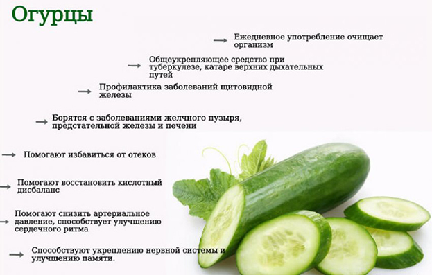 Огурцы. Огурцы.