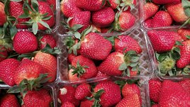 Как правильно выбрать клубнику? Советы эксперта