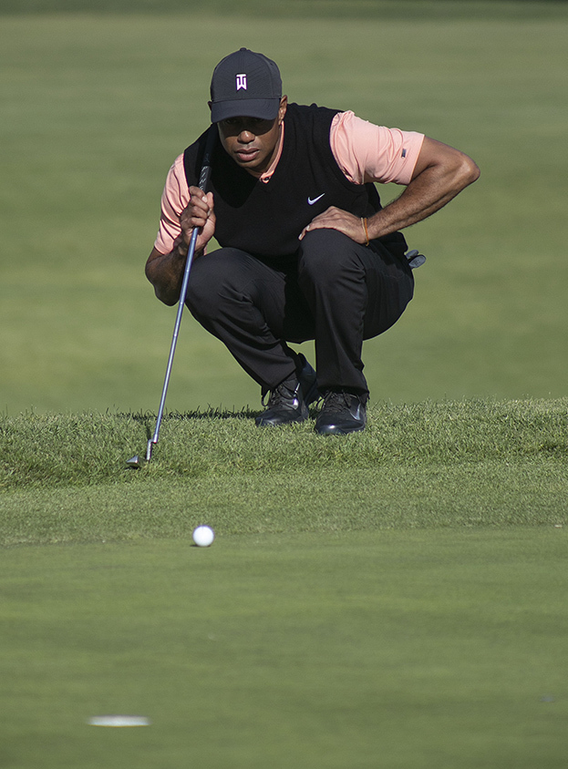 Тайгер Вудс. Фото Global Look Press Тайгер Вудс. Фото Global Look Press