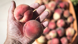 Как выбрать персики? Советы эксперта