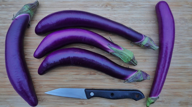 Баклажан. Фото Global Look Press Баклажан. Фото Global Look Press