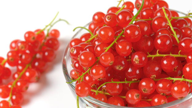 Красная смородина. Фото Global Look Press Красная смородина. Фото Global Look Press