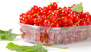 Красная смородина.