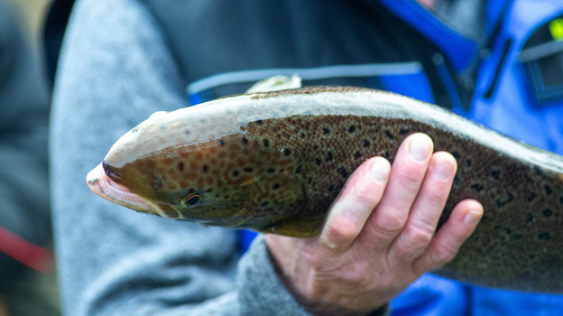 Пойманный улов. Фото Global Look Press Пойманный улов. Фото Global Look Press