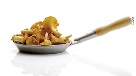 Лисички: польза и вред. Как варить и хранить?