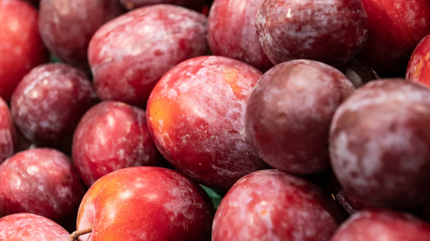 Слива улучшает аппетит и работу ЖКТ. Фото Global Look Press Слива улучшает аппетит и работу ЖКТ. Фото Global Look Press