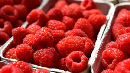 Малина: польза и вред для организма человека