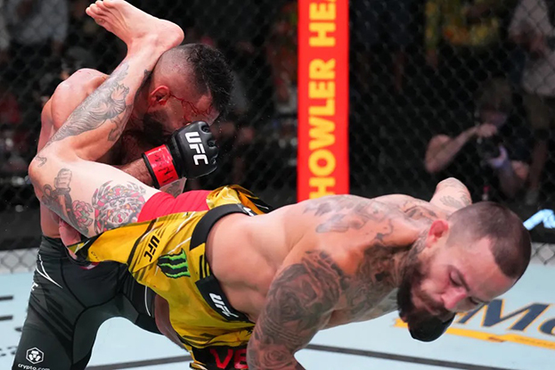 Вера потрясает Роба Фонта сайд-киком.