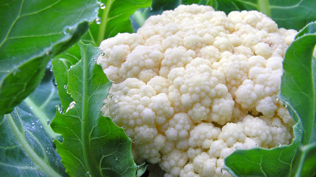 Цветная капуста. Цветная капуста.