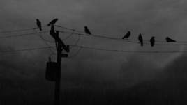 Можно ли вылечить депрессию самостоятельно