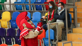 КХЛ, что с посещаемостью? Смотрим, откуда взялось такое резкое падение