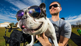 Как домашние животные влияют на здоровье человека?