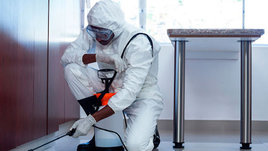 Как избавиться от тараканов в доме: 5 простых шагов