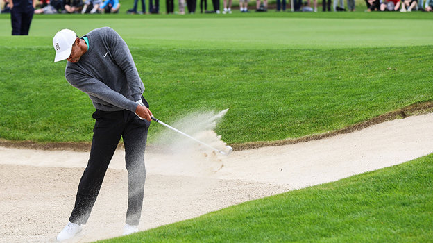 Тайгер Вудс. Фото Global Look Press Тайгер Вудс. Фото Global Look Press