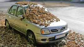 Опасны ли опавшие листья для автомобиля осенью? Советы эксперта