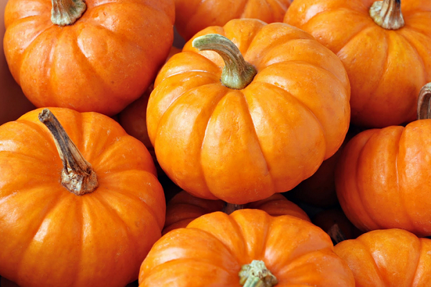 Тыква. Фото Global Look Press Тыква. Фото Global Look Press