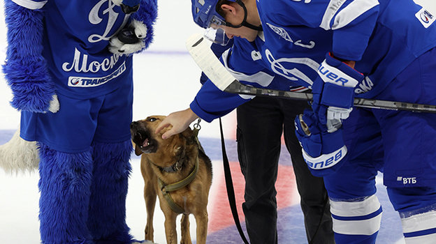 Андрей Миронов. Фото Юрий Кузьмин, photo.khl.ru Андрей Миронов. Фото Юрий Кузьмин, photo.khl.ru