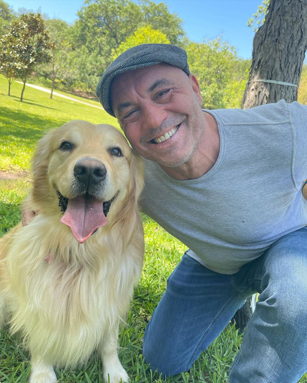 Джо Роган с собакой. Фото Соцсети Джо Роган с собакой. Фото Соцсети