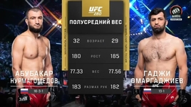 Нурмагомедов — Омаргаджиев: видеообзор боя UFC 280
