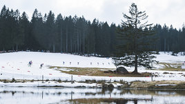 Этапам Кубка мира по лыжам предрекают отмену из-за проблем с энергетикой. При чем здесь санкции против России?
