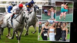 Шокирующая выходка: болельщицы в вечерних  платьях устроили массовое побоище накануне соревнований