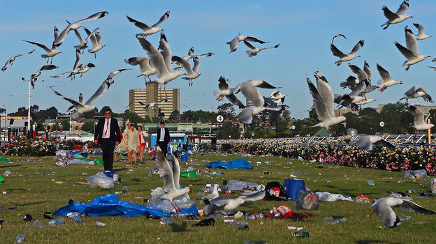 Так выглядит ипподром после ежегодного финала Кубка Мельбурна. Фото Getty Images Так выглядит ипподром после ежегодного финала Кубка Мельбурна. Фото Getty Images