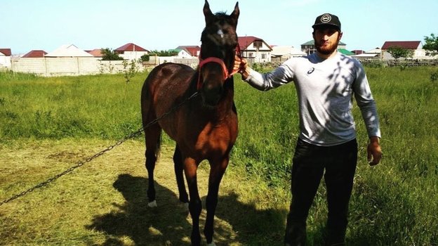 Магомед Анкалаев с лошадью. Фото Соцсети Магомед Анкалаев с лошадью. Фото Соцсети