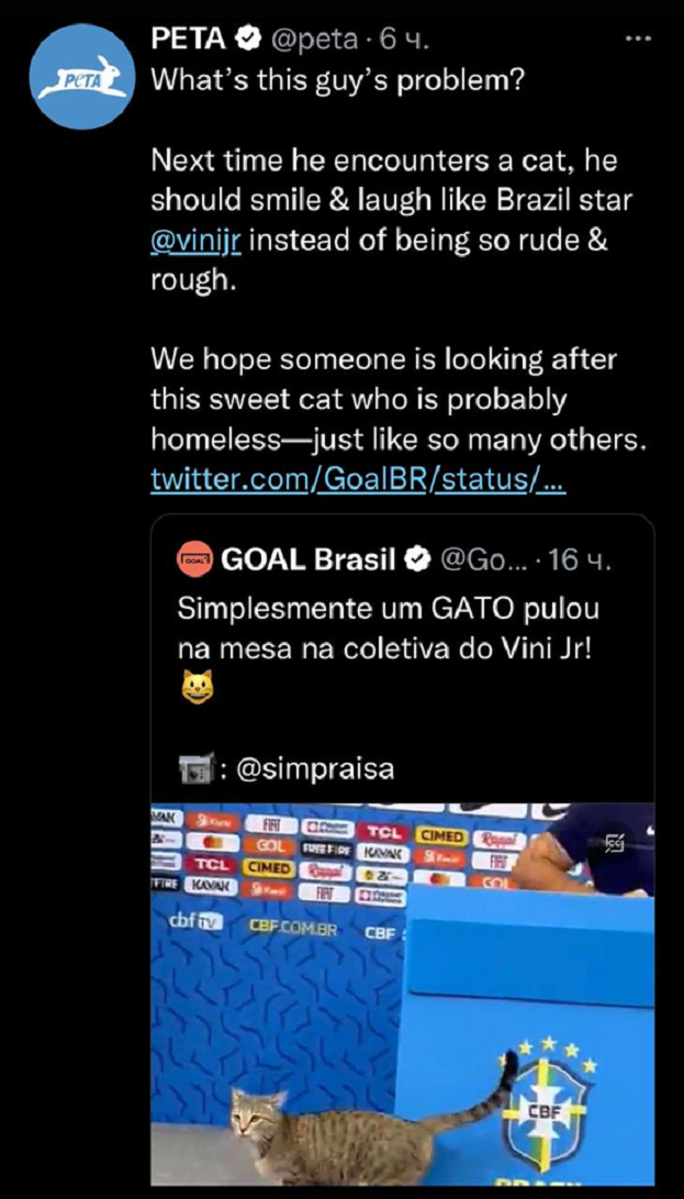 Скриншот. Скриншот.