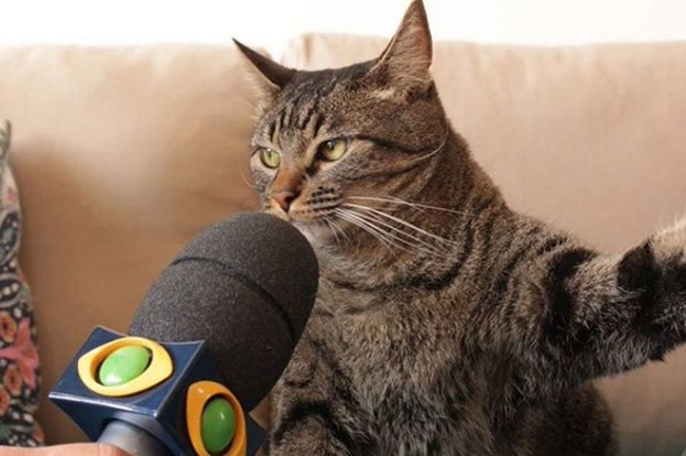 Скриншот. Скриншот.