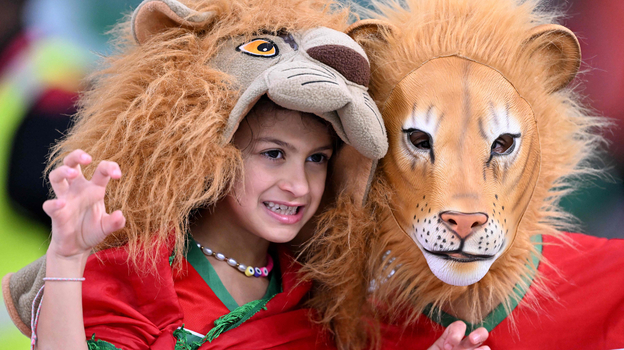 Берберские львы в секторе марокканских болельщиков на чемпионате мира. Фото Кирилл Кудрявцев, AFP Берберские львы в секторе марокканских болельщиков на чемпионате мира. Фото Кирилл Кудрявцев, AFP