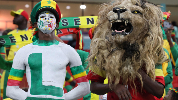 Сенегальские львы. Фото AFP Сенегальские львы. Фото AFP