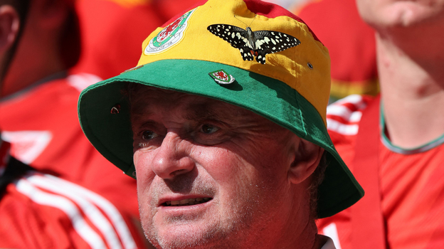 Бабочка на панаме болельщика сборной Уэльса. Фото AFP Бабочка на панаме болельщика сборной Уэльса. Фото AFP