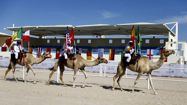 Конкурс красоты верблюдов во время ЧМ-2022. Фото Reuters Конкурс красоты верблюдов во время ЧМ-2022. Фото Reuters