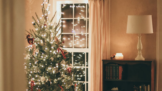 Украшенная новгодняя елка. Фото Jessica Fadel/Unsplash Украшенная новгодняя елка. Фото Jessica Fadel/Unsplash