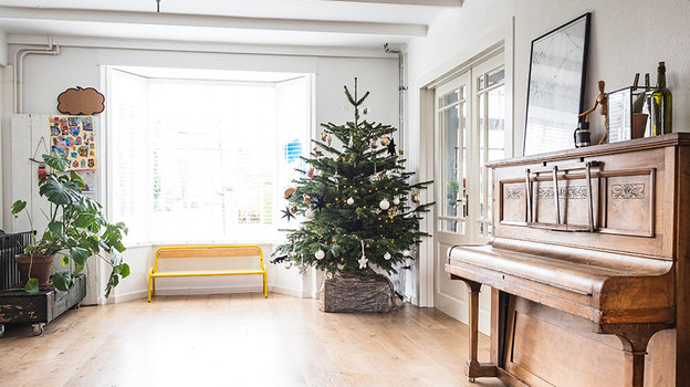 Елка. Фото Unsplash/Sven Brandsma Елка. Фото Unsplash/Sven Brandsma