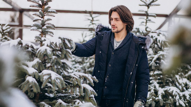 Мужчина выбирает елку. Фото Freepik/senivpetro Мужчина выбирает елку. Фото Freepik/senivpetro