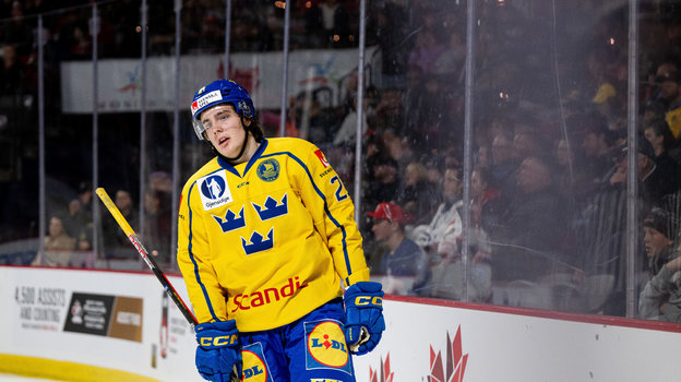 Нападающий сборной Швеции Лео Карлссон. Фото Global Look Press Нападающий сборной Швеции Лео Карлссон. Фото Global Look Press